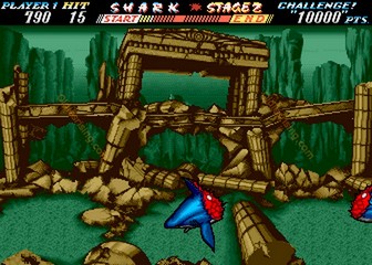 image de The First Funky Fighter